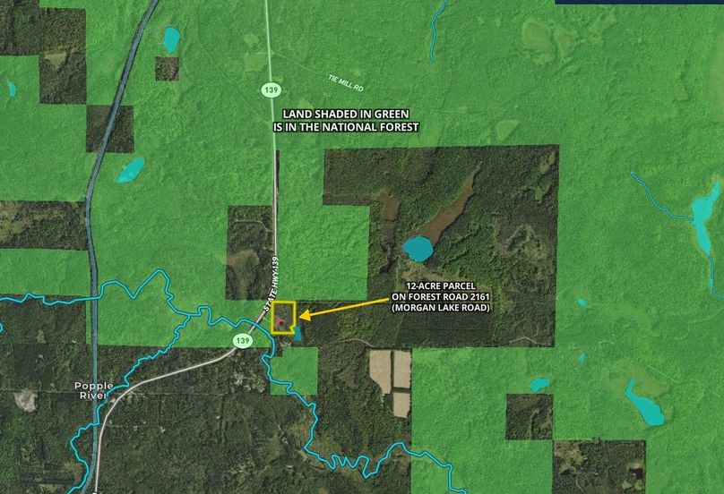 Florence12graham faraerial