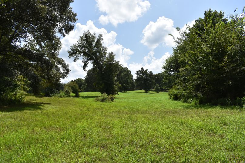(4a)backyard pasture