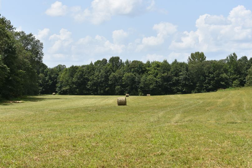 (25)hay field