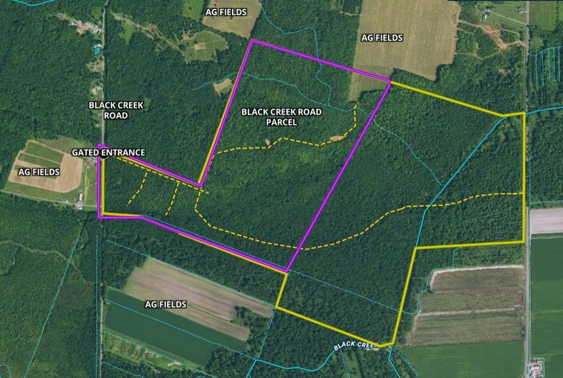 Madison 255 ferro black creek rd google