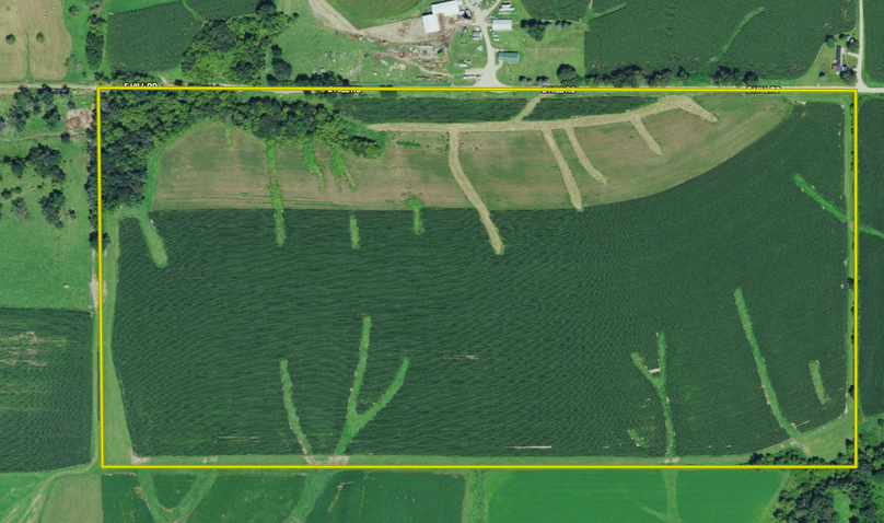 Screen shot 2021-09-14 at 10.12.31 am