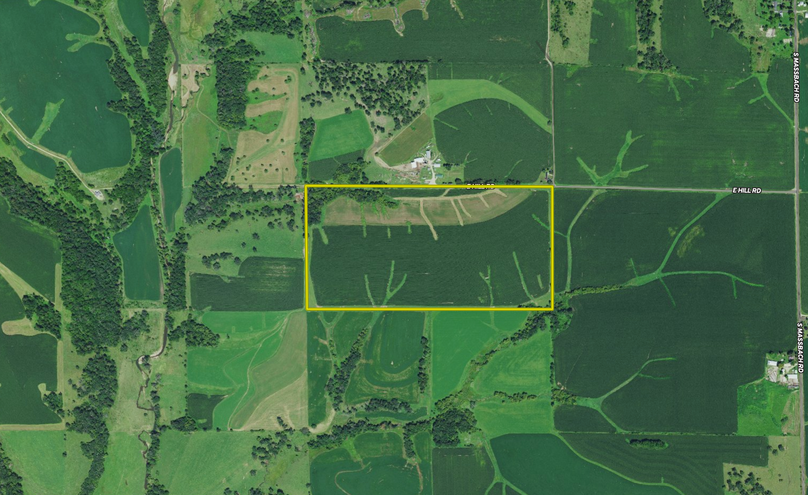 Screen shot 2021-09-14 at 10.12.58 am