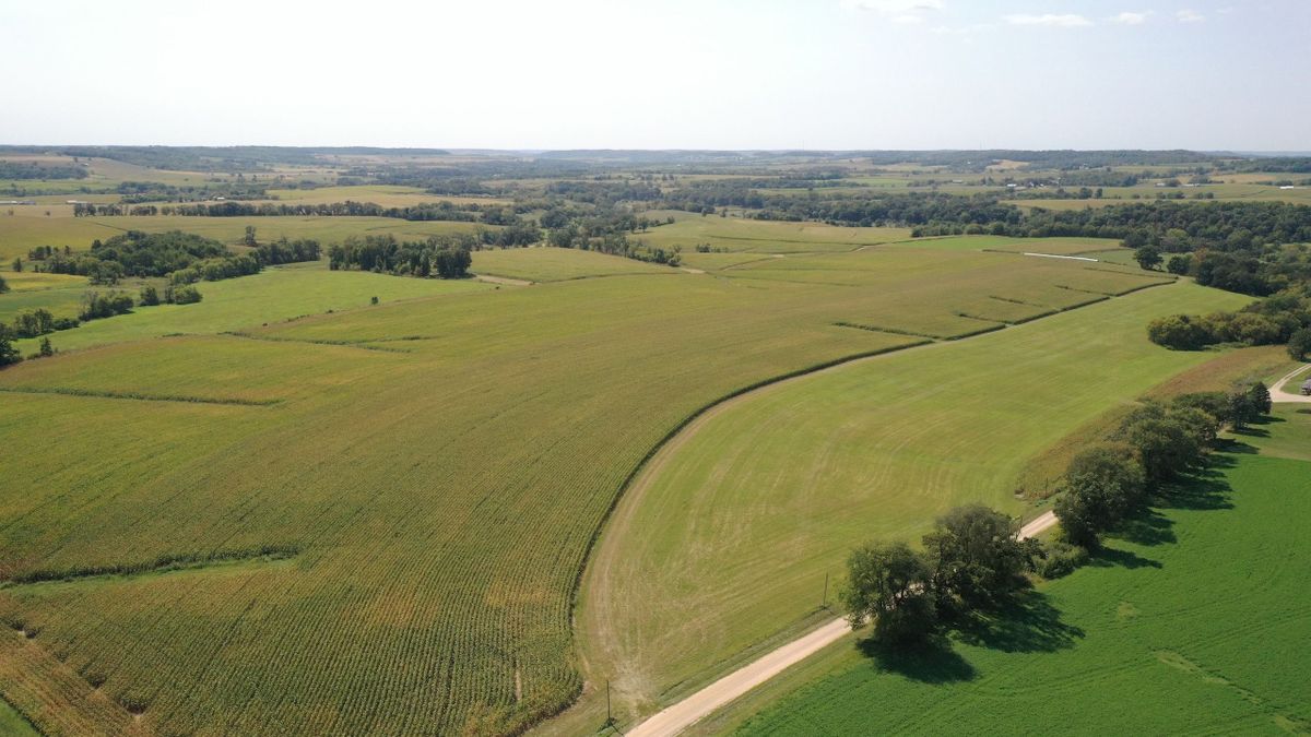 Productive Tillable Land For Sale In Northern IL Whitetail Properties