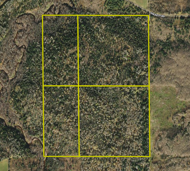 Screen shot 2021-09-16 at 1.57.15 pm