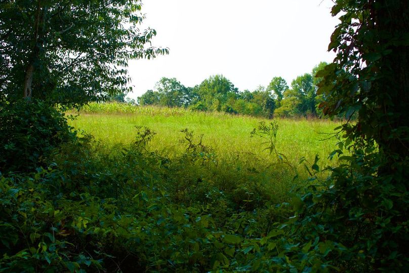 A3677d0f-07c3-486a-9c1c-bd6964e4e2b8 1 105 c