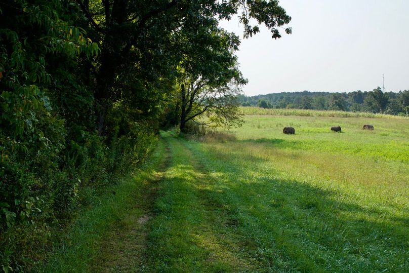 Afb9e01e-4c06-4176-b678-8b305b871ab2 1 105 c