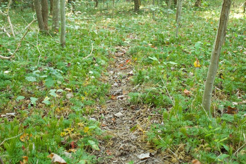 B06d9869-86aa-4fcb-8e5c-4cf5b43086f4 1 105 c