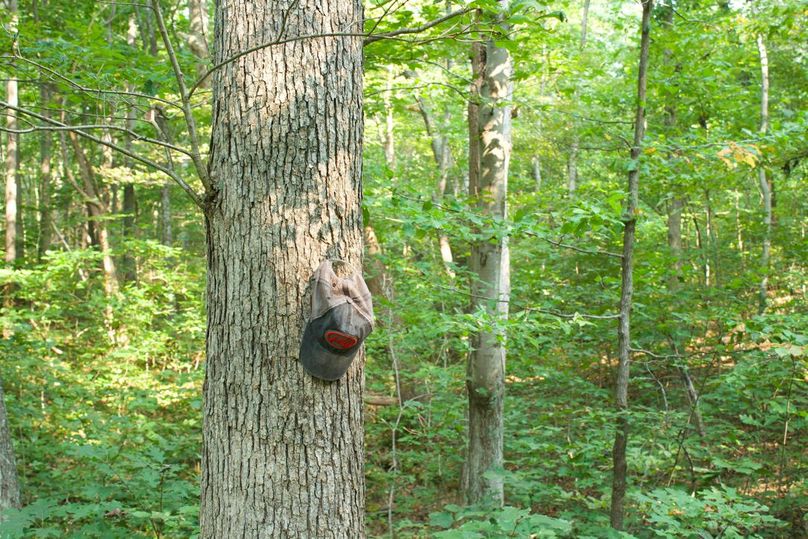 B34fd857-777f-49d2-96a6-669b46b8bcc3 1 105 c