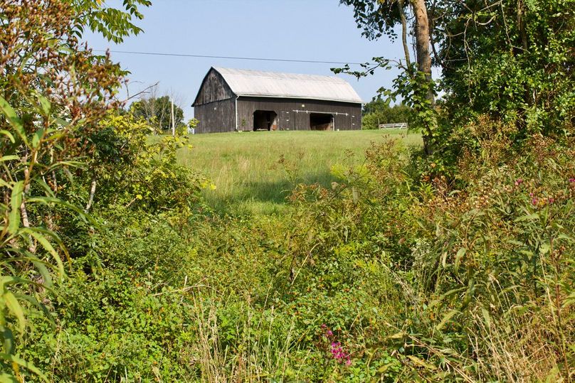 Cd458fd0-c639-4721-8101-4e4936483fed 1 105 c