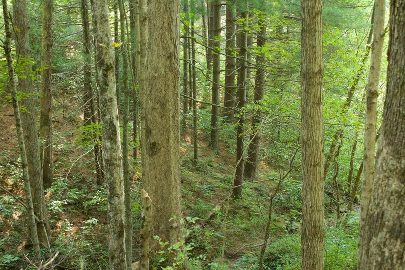 D46f0b16-b06b-4462-a8c0-e8eb4b600d43 1 105 c