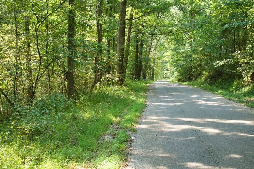 D582cb02-317d-4f63-bf1b-da7d7d751a3e 1 105 c