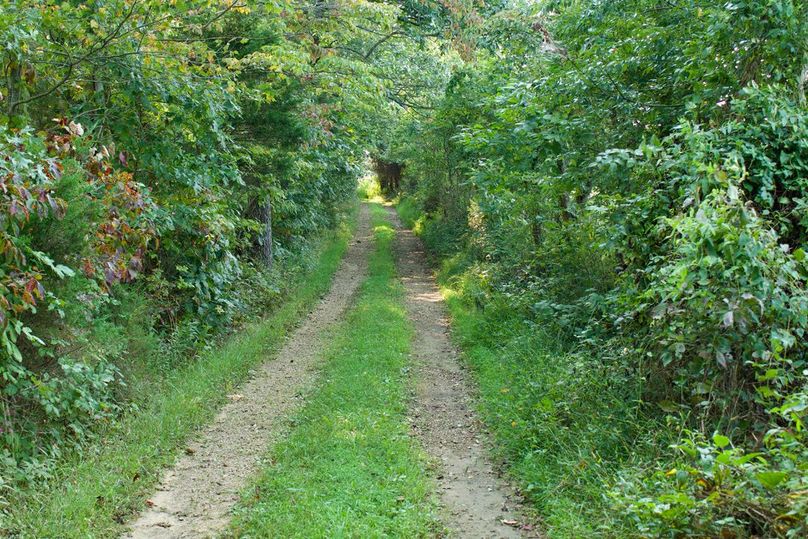 D5f02ea4-b9b7-4777-a8a3-fb6efd26c692 1 105 c