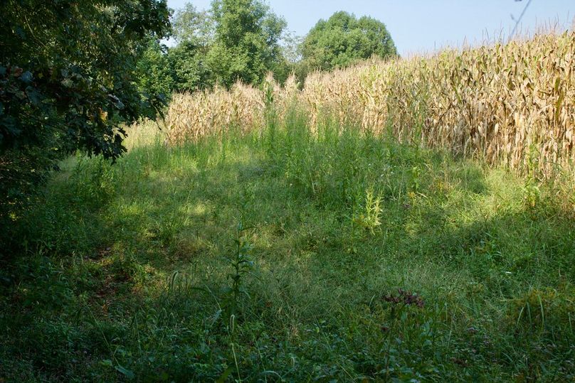 E6f3caca-ad3c-4dda-b697-30d098b09cee 1 105 c