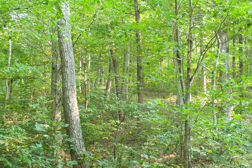 E9410ef8-cf76-48b3-849c-ead78831b5a7 1 105 c