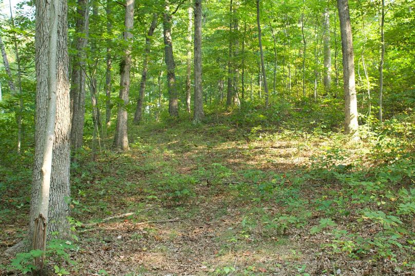 E085ed12-bf37-4f0c-bfa2-40f247996370 1 105 c