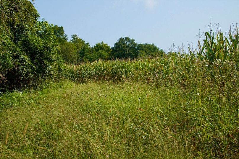 E3948fab-54a3-4335-b361-ce0bc8c5d97f 1 105 c