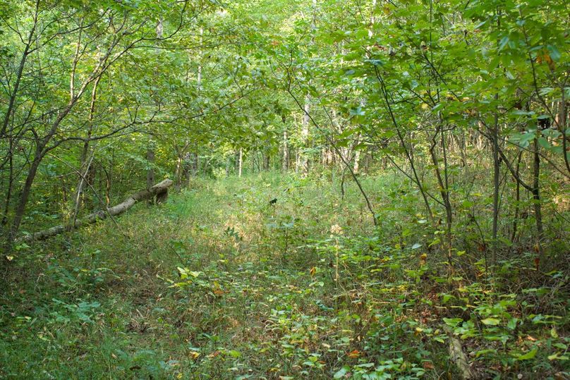 Ed7c5080-e209-4236-96e7-0f2bd249b897 1 105 c