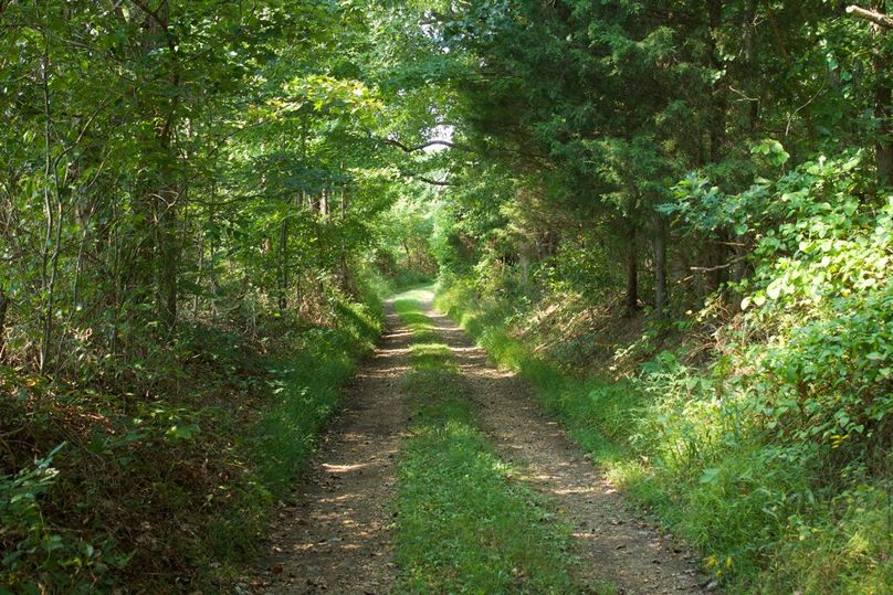 F569a2db-8940-4e1a-b3d7-b6e5d0fda229 1 105 c