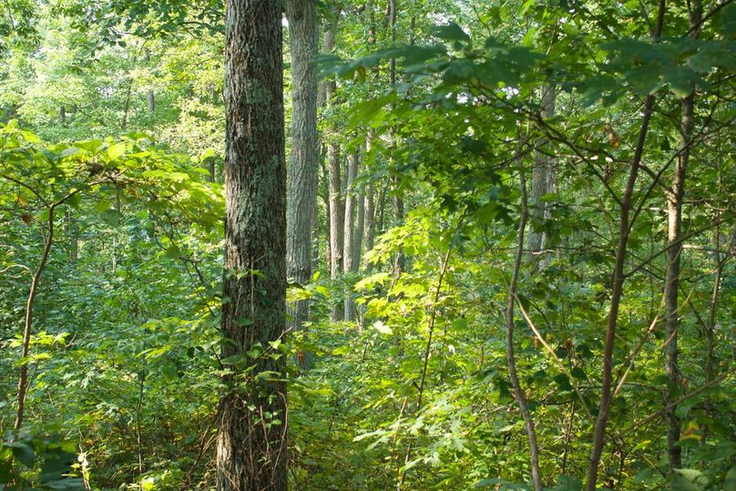 F56dece2-d5f8-4e19-9cf7-817b66632d59 1 105 c