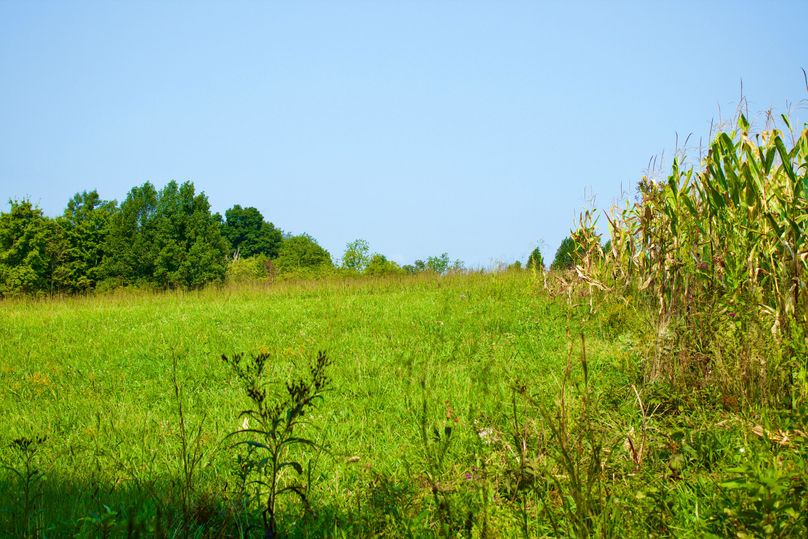 F9365a16-eadd-4ab4-80de-0ecb50cbedba 1 201 a