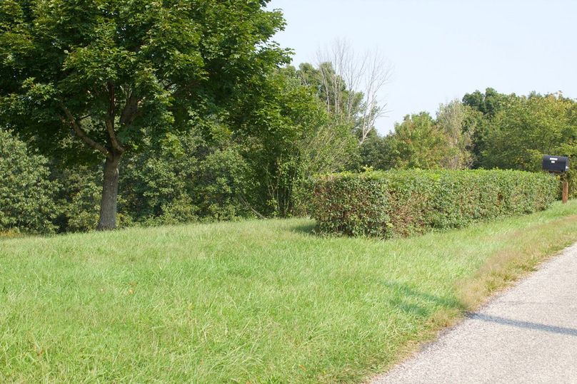 F99ab4d0-ea3e-4fed-aefc-56c8add37619 1 105 c