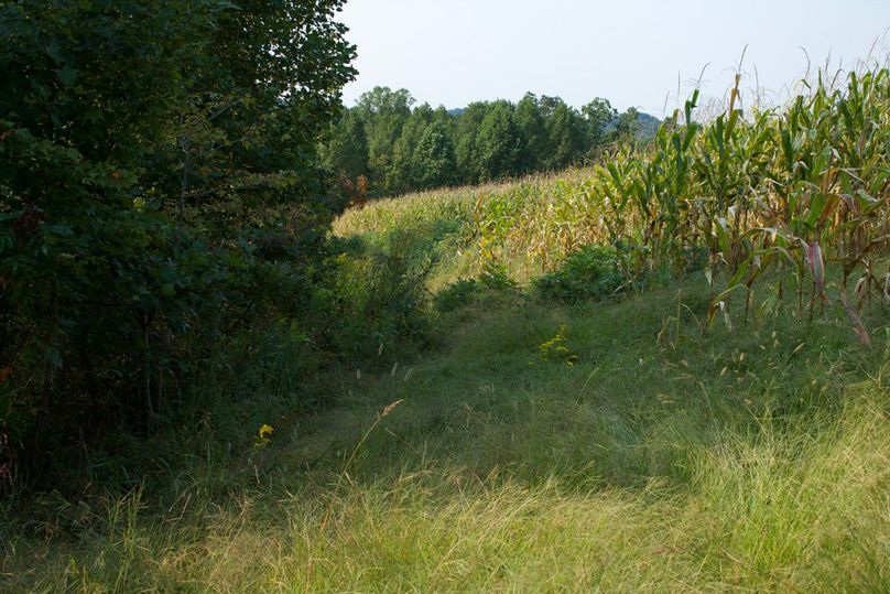 Fa4d5302-dd2b-473b-8e3a-4db41d63f9c2 1 105 c