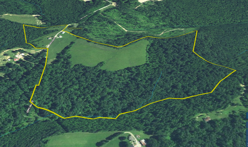 Screen shot 2021-09-15 at 5.57.13 am