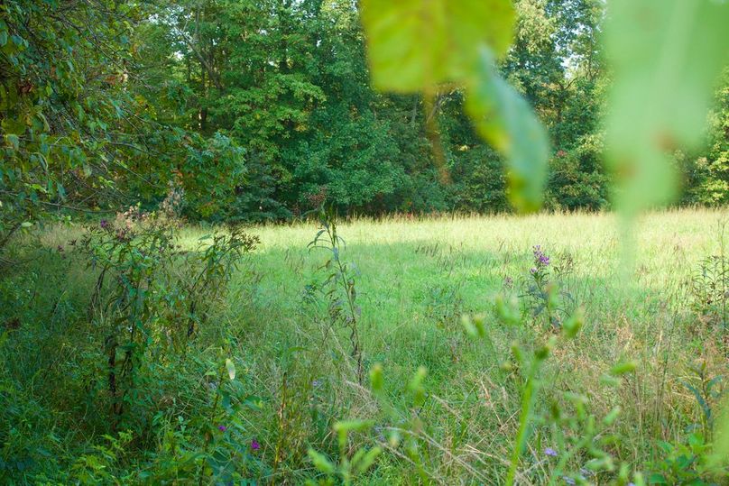 04932176-99ec-4b53-9495-6ef7b3797a11 1 105 c