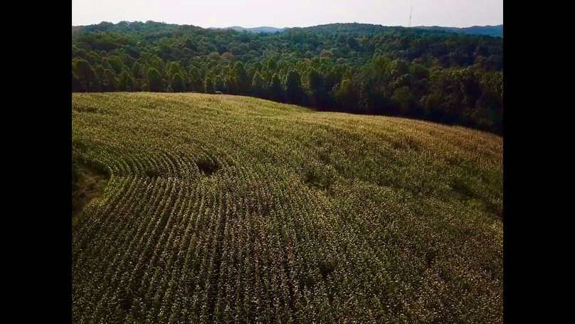 053981b5-b29e-41e6-b990-ec20042ae9c4 1 201 a