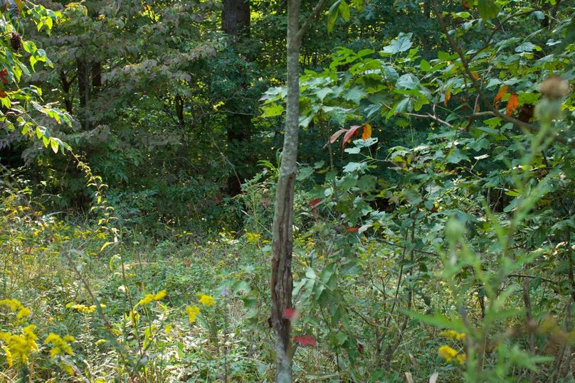 0b42ab50-f783-4845-9b79-b3a621ee9e10 1 105 c