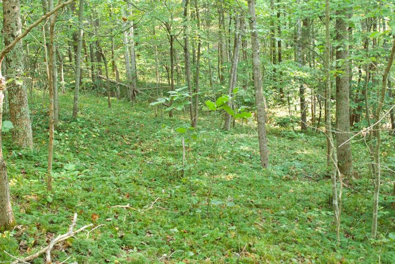 0cb6b087-14ce-4e77-a207-182aebfbf07e 1 105 c