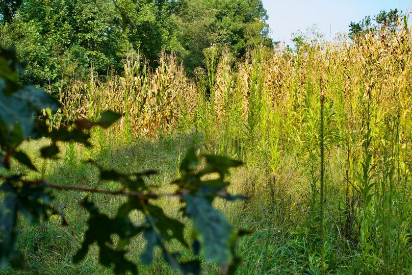 0d6a2ea0-e0b8-42e8-9543-e6d1588f8452 1 105 c