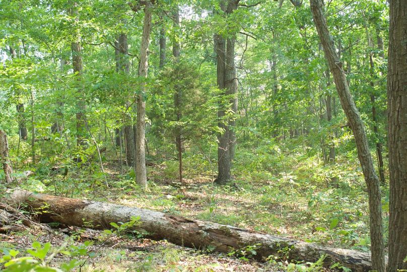 1a0a8bb9-2ef3-48c8-86c5-d1f096a54443 1 105 c