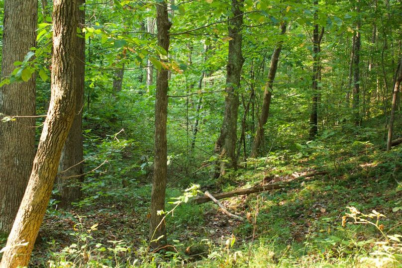 2681bbab-027a-44f9-937a-5c2e63f23af6 1 105 c