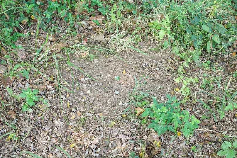 278eddeb-a86f-4c99-a1fd-20e05209fb36 1 105 c