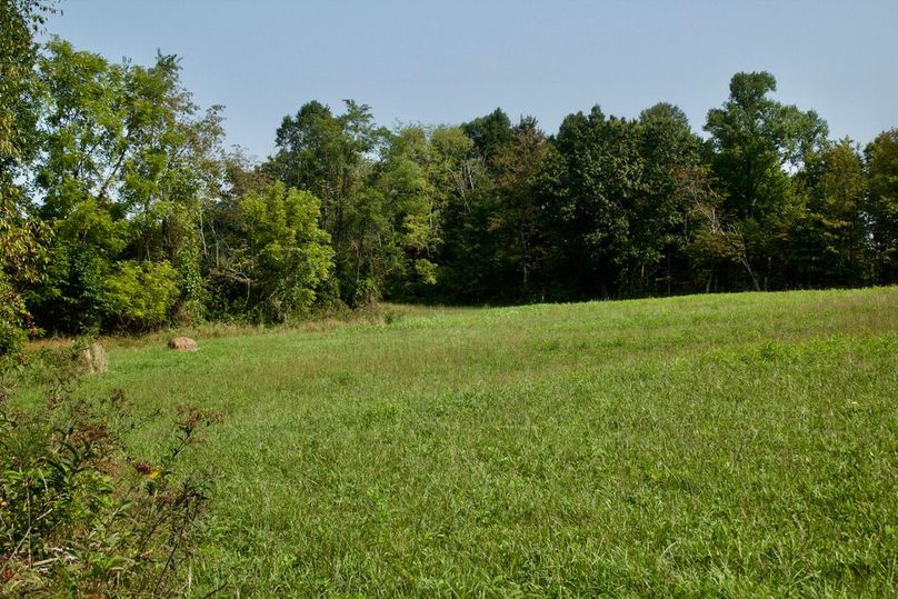 282a4d93-e712-4d65-b675-5247b69db6b2 1 105 c