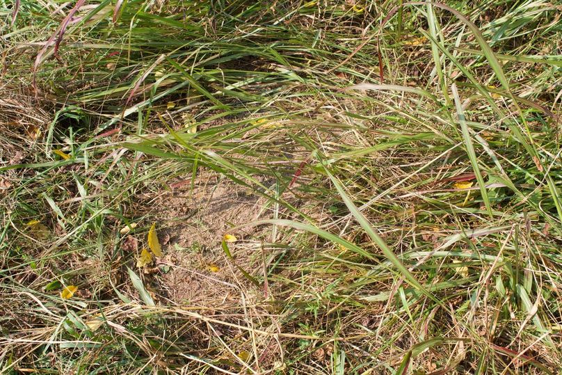 2c0b1a40-6e22-488f-b030-4c2f5c47ce54 1 105 c