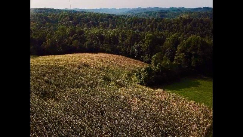 2f5a61e2-29d7-4f1d-80ea-f83747f1cb9a 1 105 c