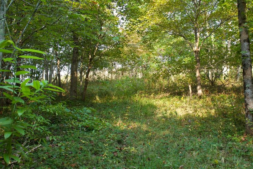 347c82d2-ea6e-493b-b689-66caf84eefa5 1 105 c