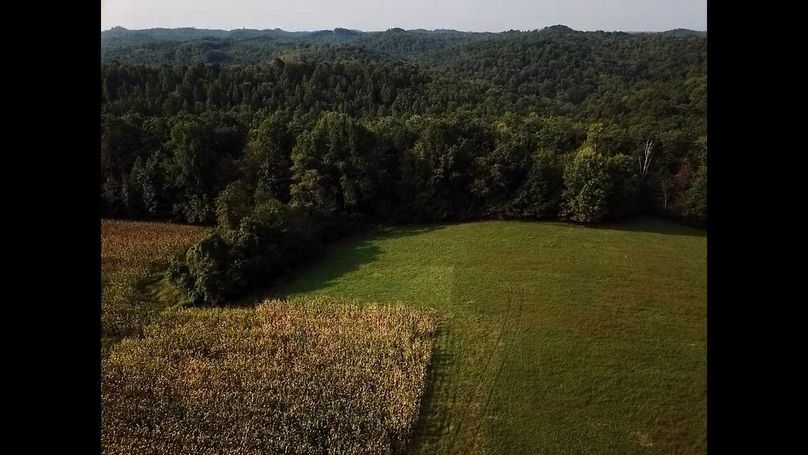 3d3998fb-2c22-4792-b0bf-3d3f78a9688d 1 105 c