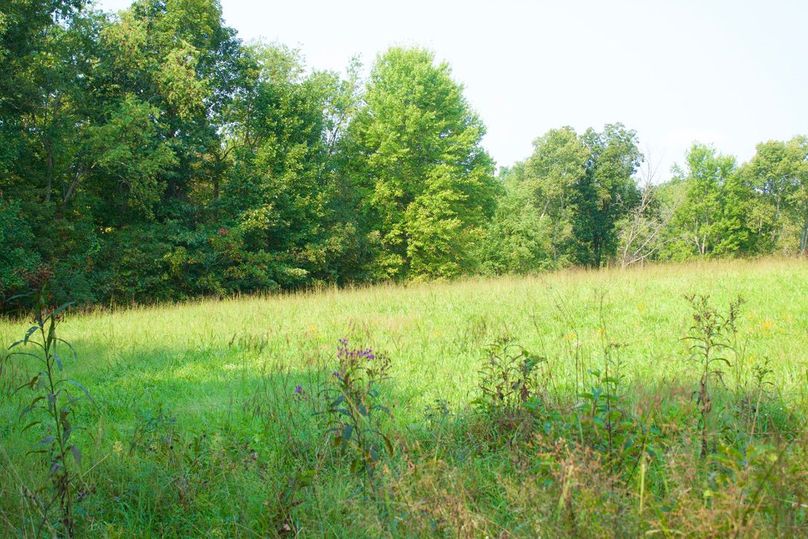 410134a8-9fe3-4f1b-a1ba-6e4c33b700eb 1 105 c