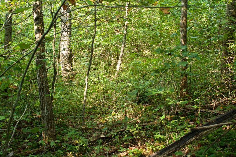 4207bbce-7bb9-4834-a0cc-6a1901e153f7 1 105 c