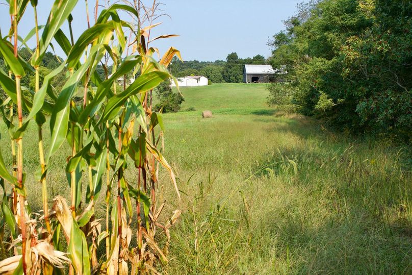 55dc0e07-27a3-4a77-b9fa-00ebaa0b8149 1 105 c