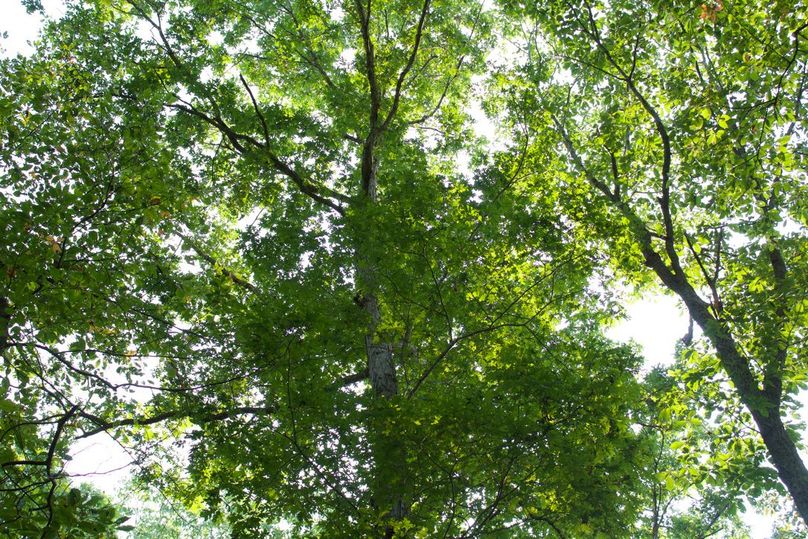 5688034a-3069-4ce1-9079-c965ca2e05e5 1 105 c