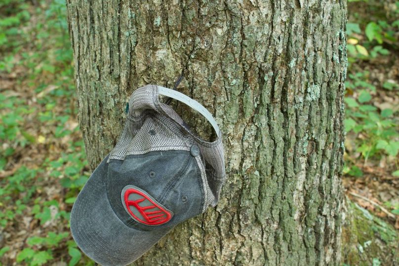 56d4a384-3a04-40ba-9fe6-7a6c43e5e675 1 105 c