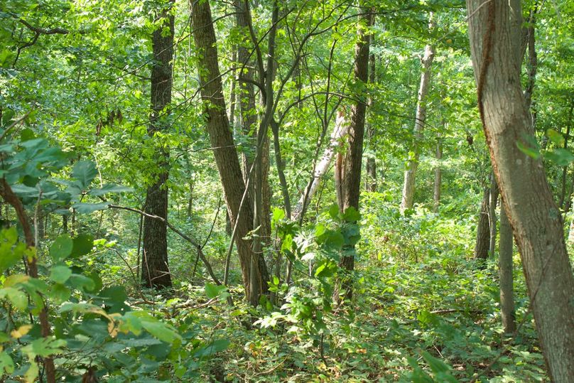 5357d2b0-6398-4262-90d3-8254a8d5582e 1 105 c