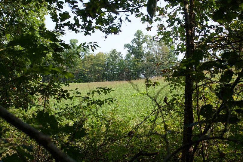 606de0d7-92fe-4be0-874d-853006510a23 1 105 c