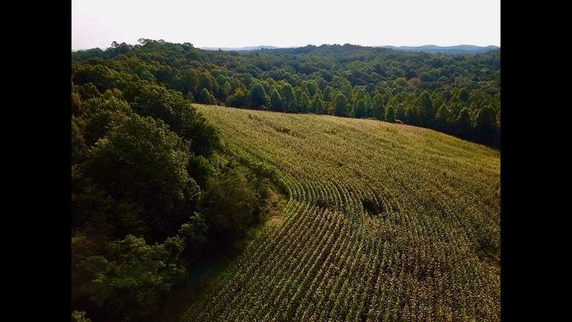 63f452a3-4b03-429c-b464-743dd1836882 1 105 c