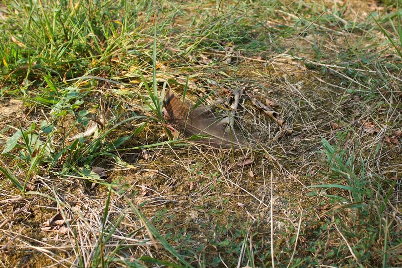 75e5a610-8611-4c2e-b073-9ce7d27371f9 1 105 c