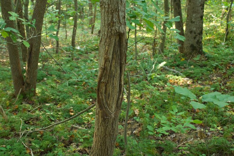 797b78c5-24c9-4d23-8fe1-4ebc79afcfdb 1 105 c